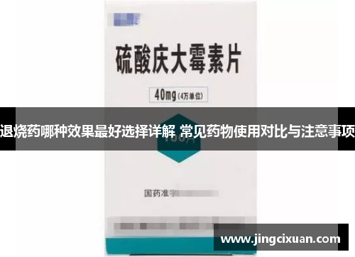 退烧药哪种效果最好选择详解 常见药物使用对比与注意事项